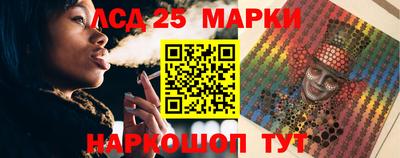 стафф Гай