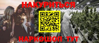 мдпв Гатчина
