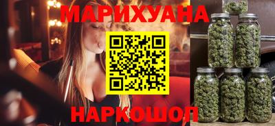 стафф Гай