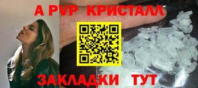 стафф Гай