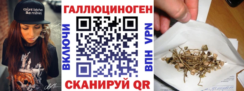 Псилоцибиновые грибы GOLDEN TEACHER продажа наркотиков Апатиты