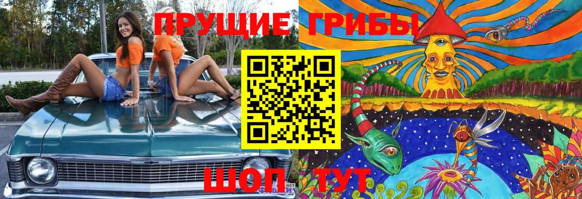 Псилоцибиновые грибы GOLDEN TEACHER Апатиты