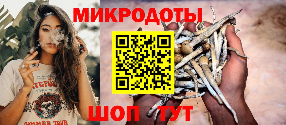 Псилоцибиновые грибы Cubensis Апатиты