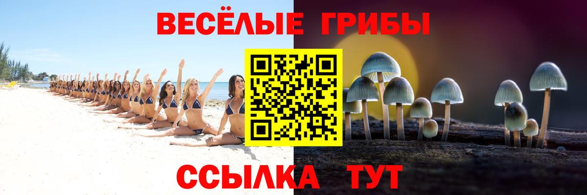 Апатиты  Галлюциногенные грибы прущие грибы  купить наркоту  Вход с VPN 