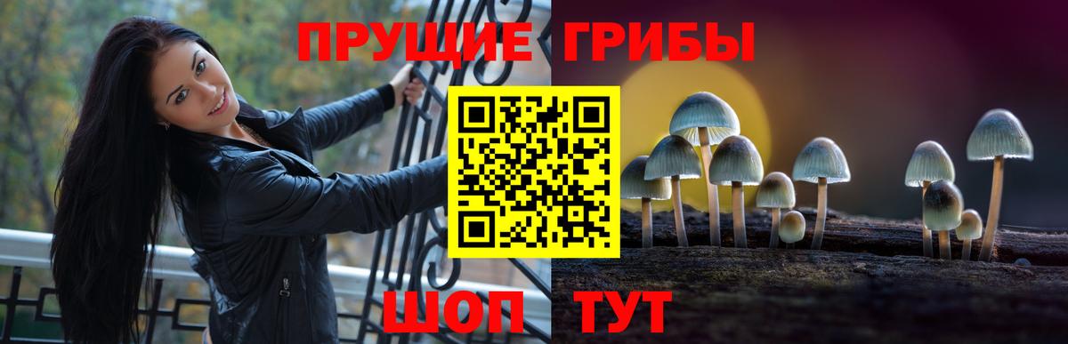 Псилоцибиновые грибы ЛСД  Апатиты 