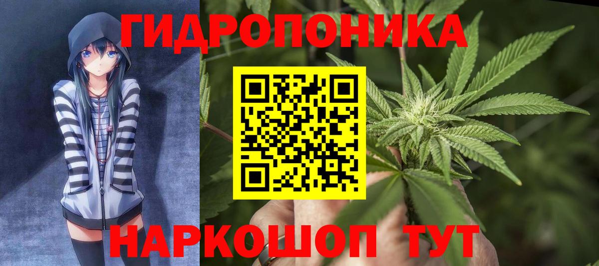 Бошки Шишки MAZAR  Вход с VPN  Каннабис планчик  Апатиты  Каннабис THC 21% 